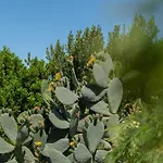 Villa Olia *