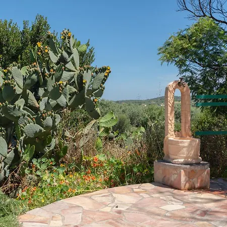 Olia אלגהרו